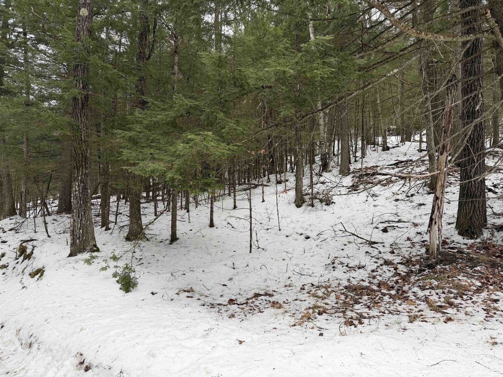 Property Photo:  00 Wetherbee Road  NH 03585 