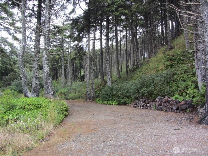 Property Photo: 29 Golden Lane WA 98571