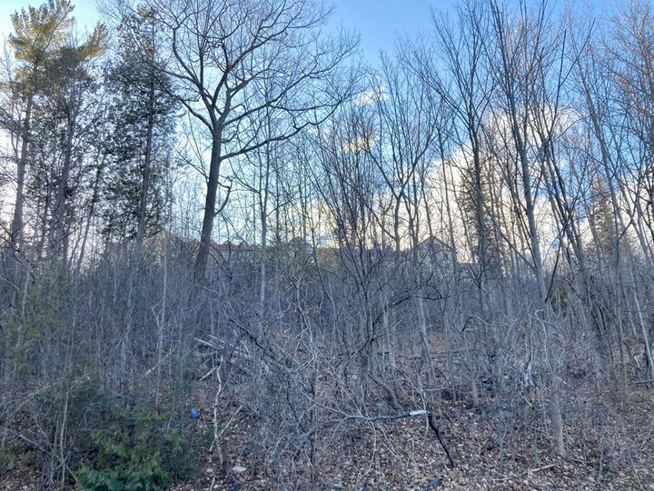 Property Photo: 00 Wood Cliff Drive NY 12901