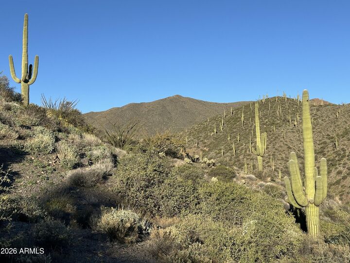 Property Photo:  43252 N Chiricahua Pass 347  AZ 85262 