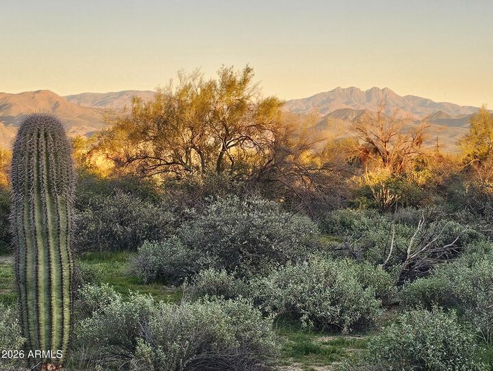Property Photo:  32xxx N 162nd Street F  AZ 85262 