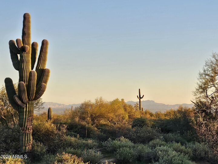 Property Photo:  32xxx N 162nd Street F  AZ 85262 