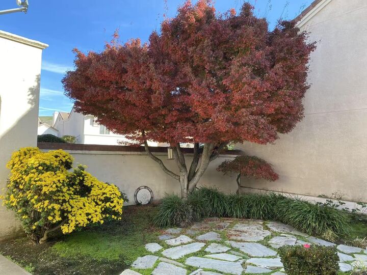 Property Photo:  2190 Canyon Lakes Dr  CA 94582 