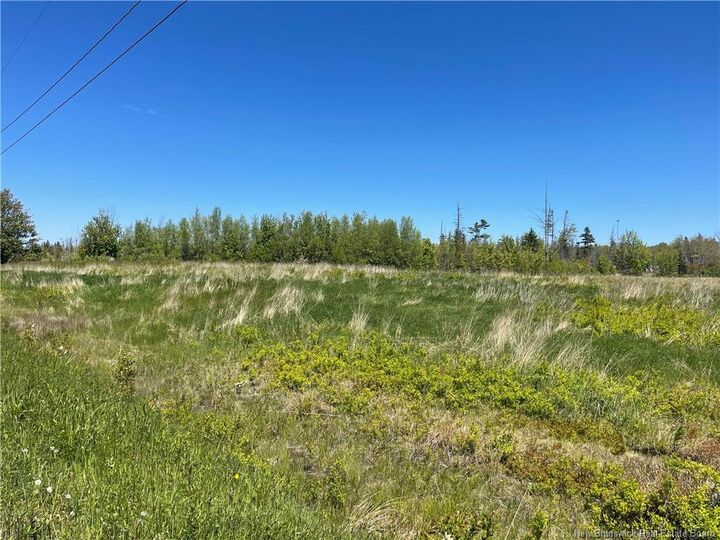 Property Photo:  235 Pointe-A-Nicet Road  NB E4P 8Z7 