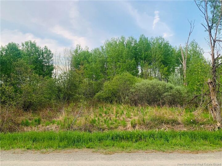 Property Photo:  Land Route 122  NB E6H 2A9 