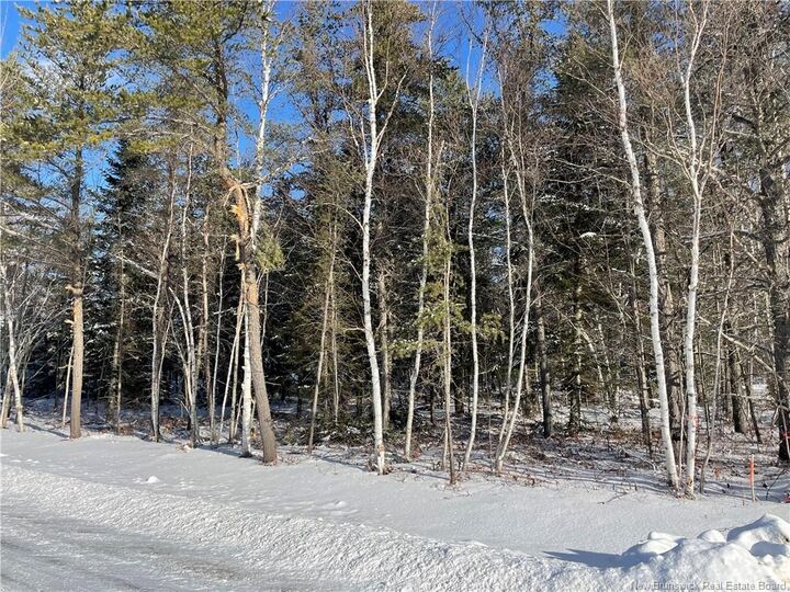 Property Photo:  Lot 74-17 Honey Street  NB E1N 3P9 