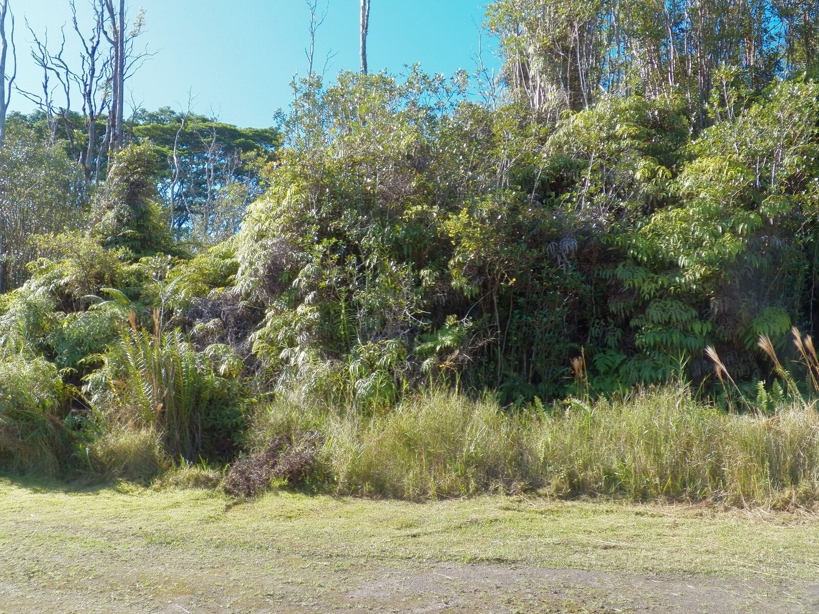 Property Photo: Holana St HI 96771