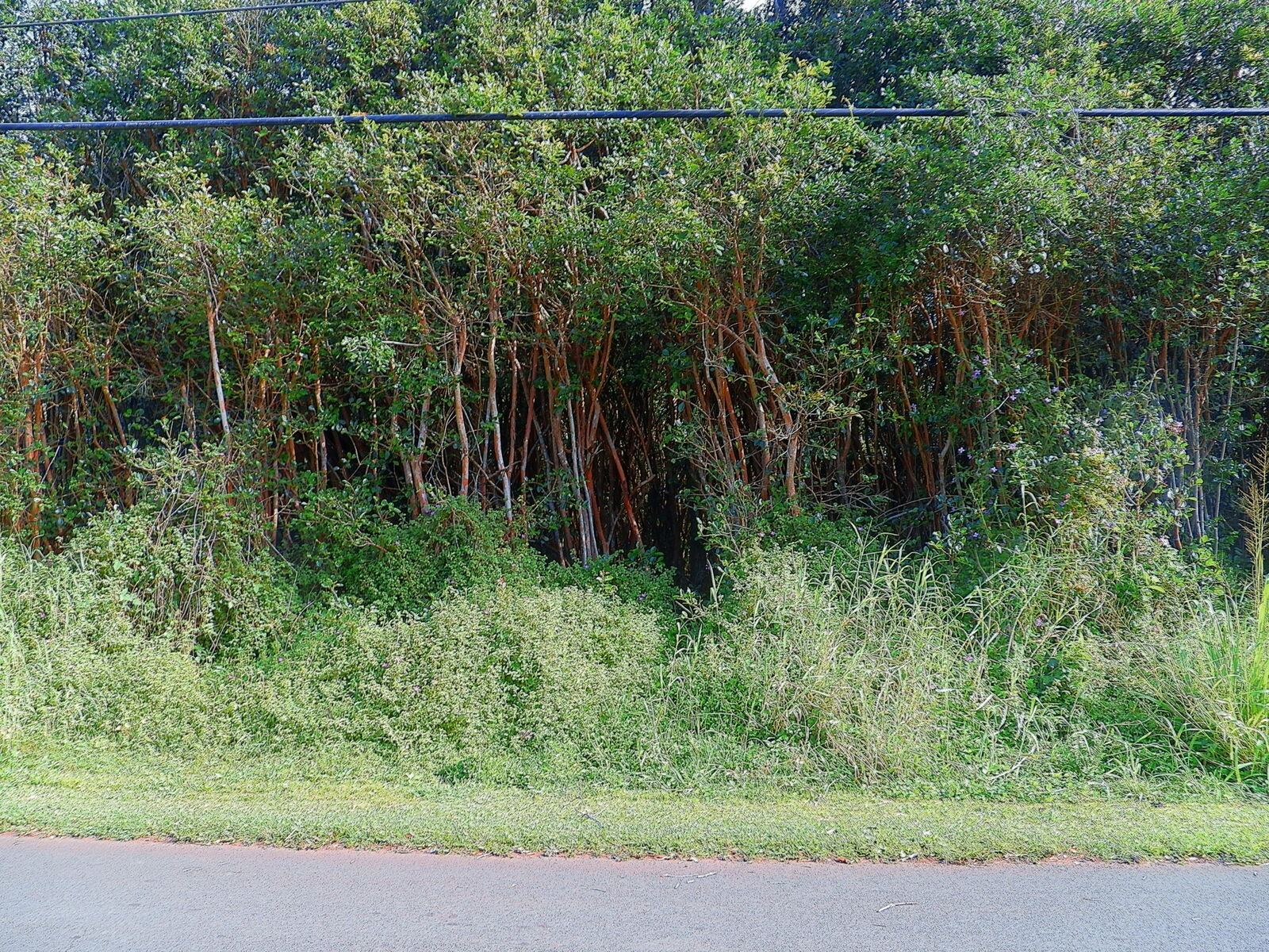 Property Photo:  Diamond Head Rd  HI 96778 