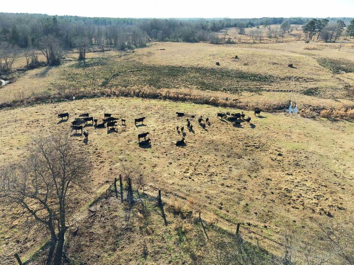 Property Photo: Tbd Squirrel Rd TX 75686