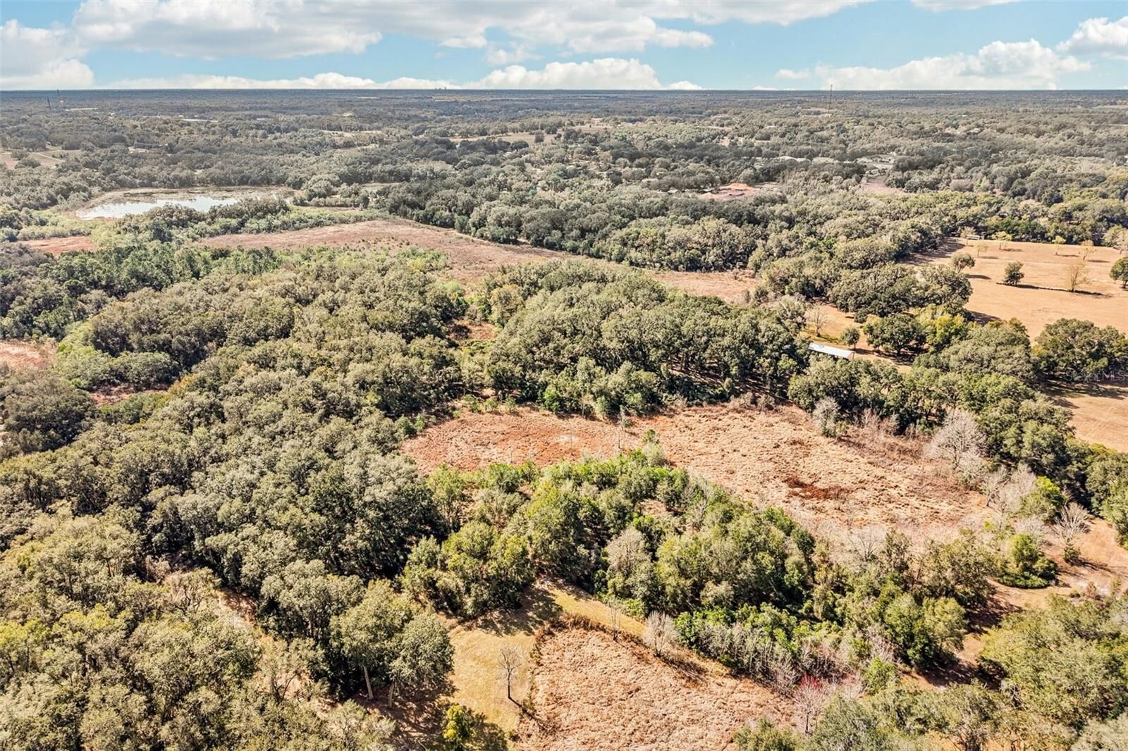 Property Photo:  Harris Lake Road  FL 32159 