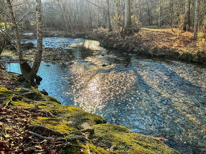 Property Photo:  188 Clear Creek Valley Drive  GA 30536 