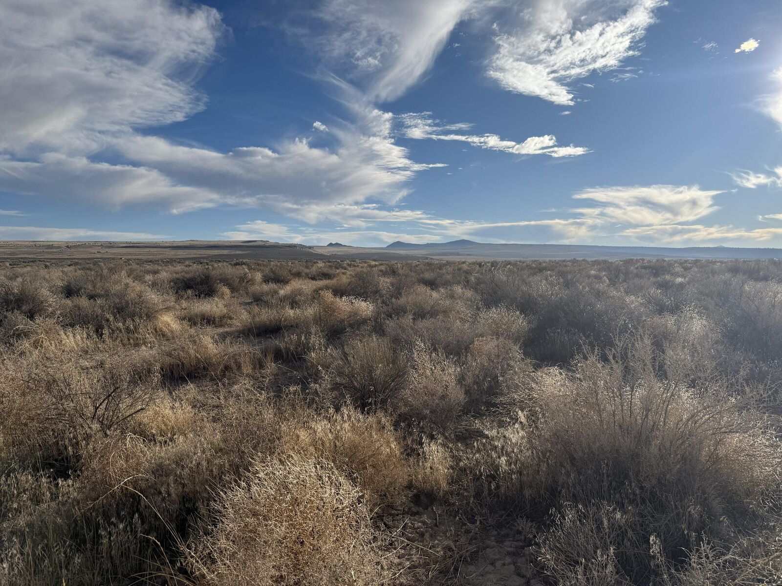 Property Photo: Oil Dri Road OR 97641