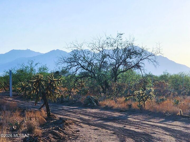 Property Photo:  15035 S Muldoon Avenue 115  AZ 85736 