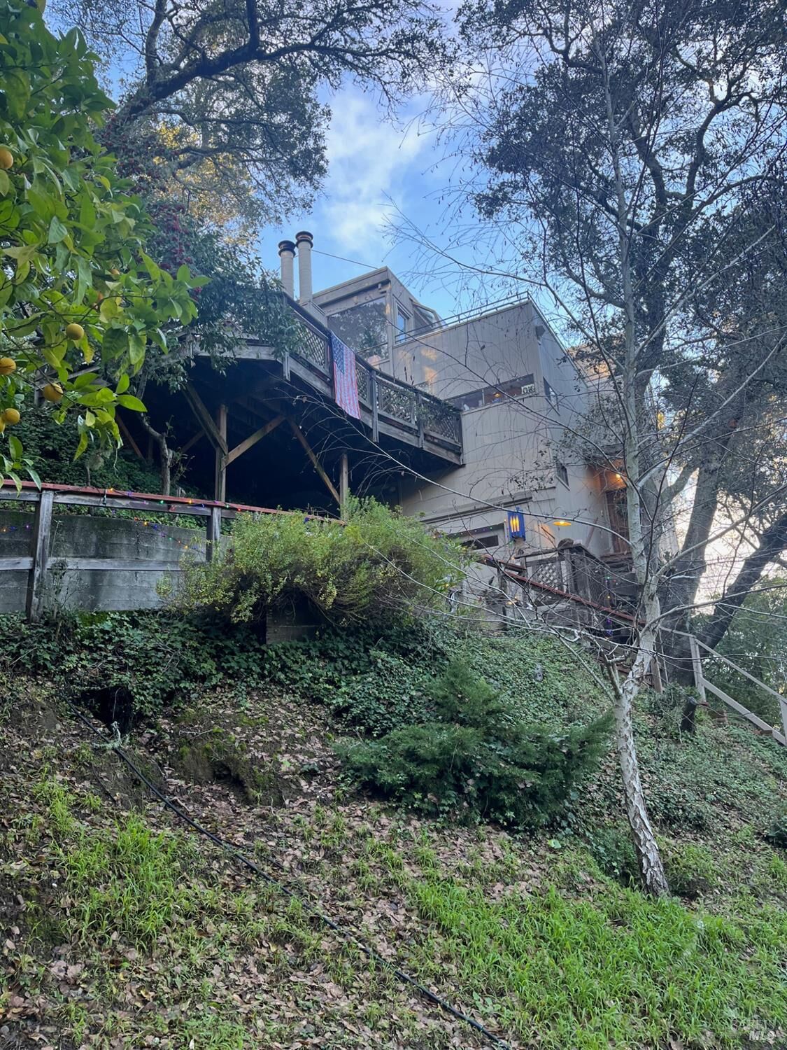 Property Photo:  19 Holly Avenue  CA 94939 