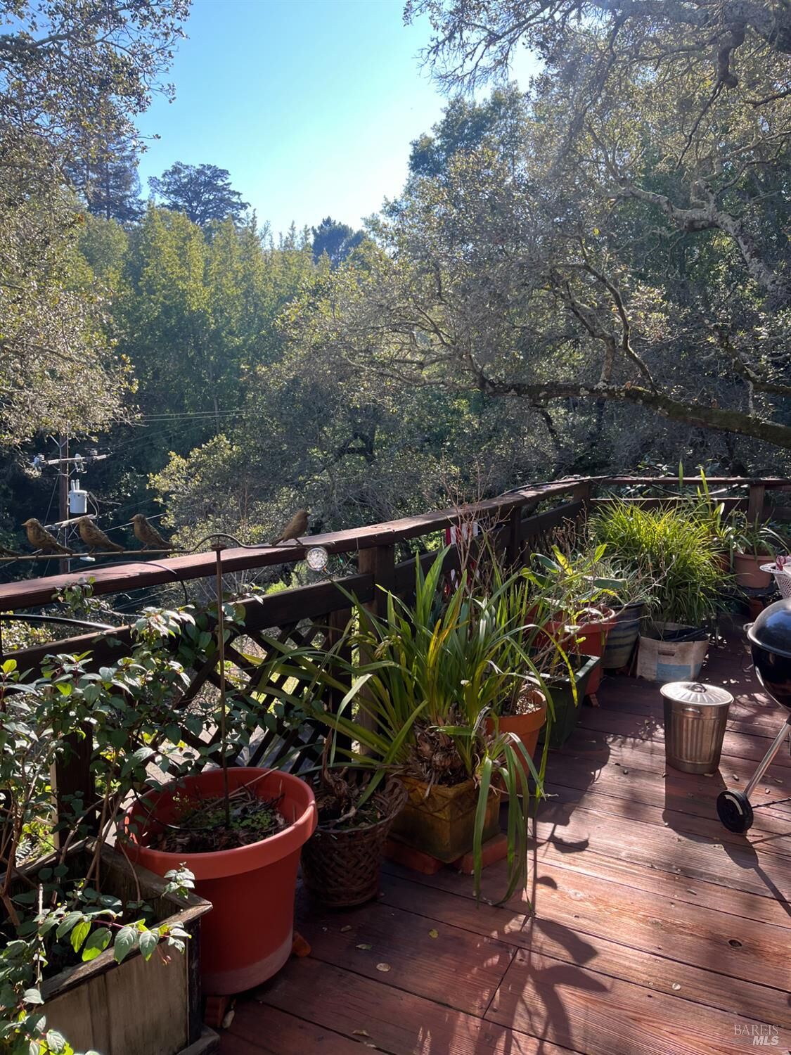 Property Photo:  19 Holly Avenue  CA 94939 