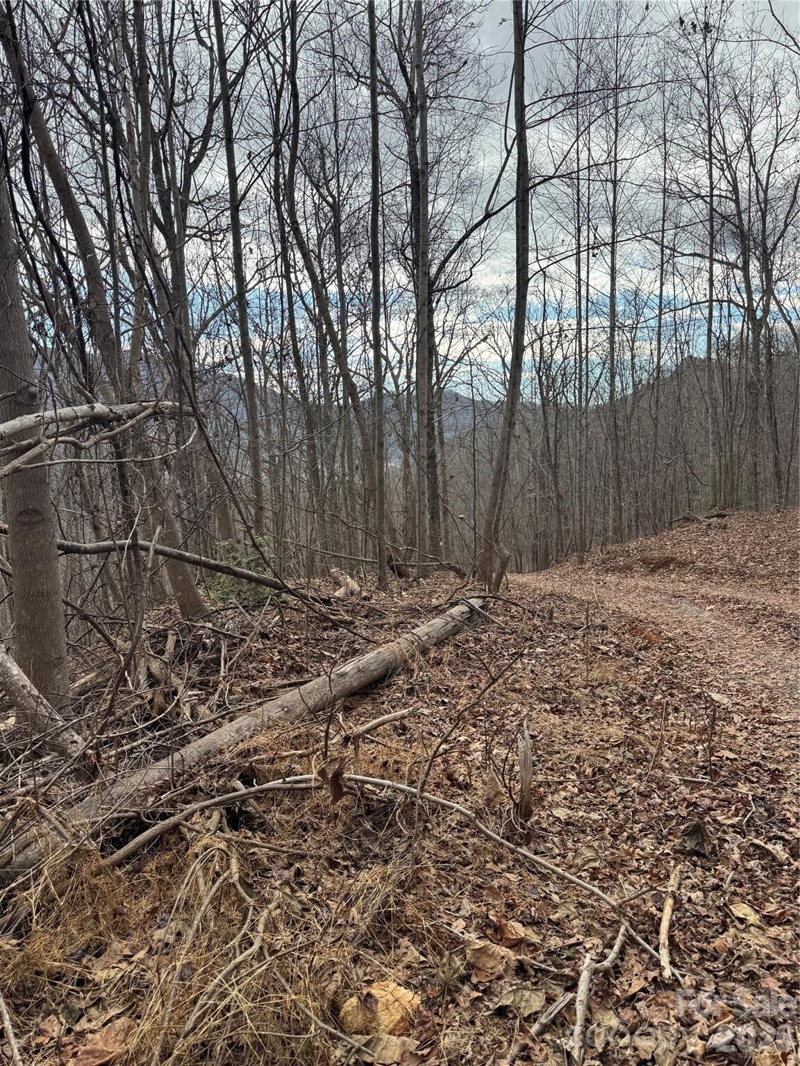 Property Photo:  99999 Penland Road  NC 28904 