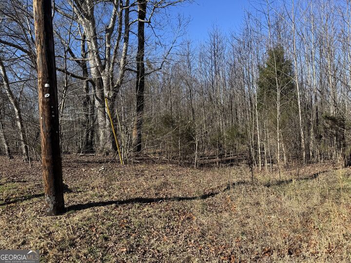 Property Photo:  33 Riverhaven Lane  GA 30731 