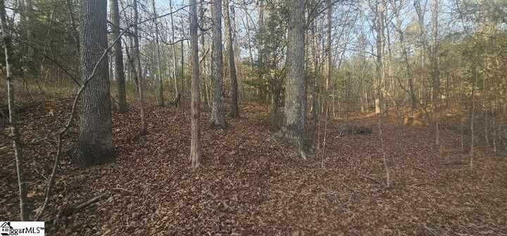 Property Photo:  0 Bishop Road  SC 29374 