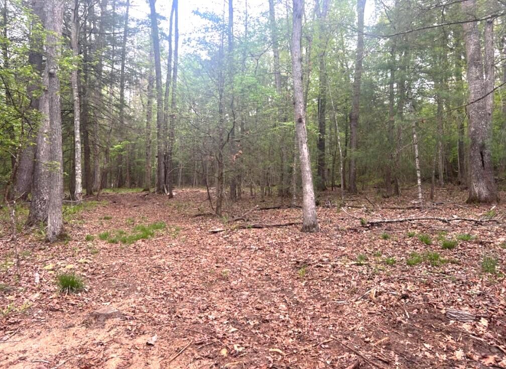 Property Photo:  Lot 3 Asbury Trace  WV 24901 