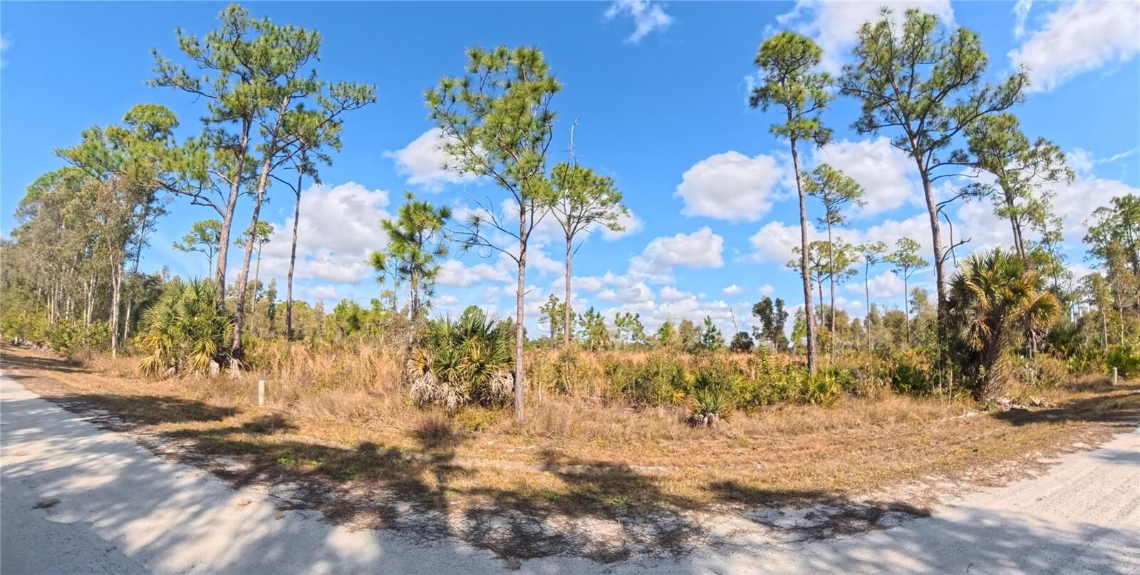 Property Photo:  12196 Caravan Drive  FL 33955 