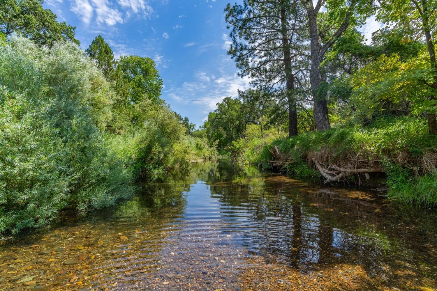 Property Photo:  0 Sutter Creek Road  CA 95685 