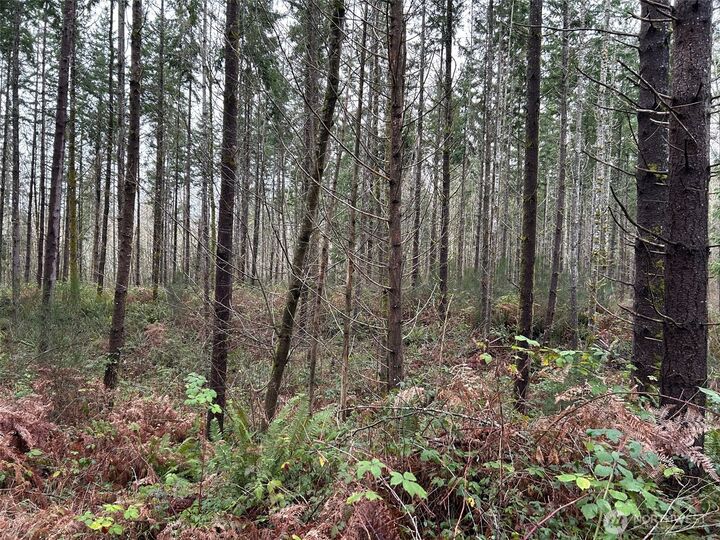 Property Photo: 0 NE Sawdust Hill Road Lot 6 WA 98370