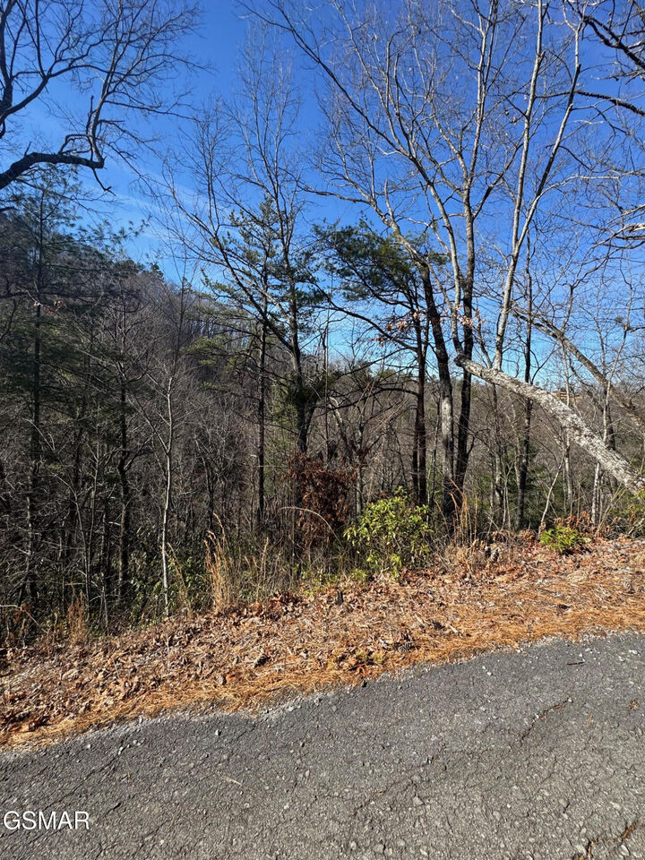 Property Photo:  Tract 15 Blossom Hollow Way  TN 37876 