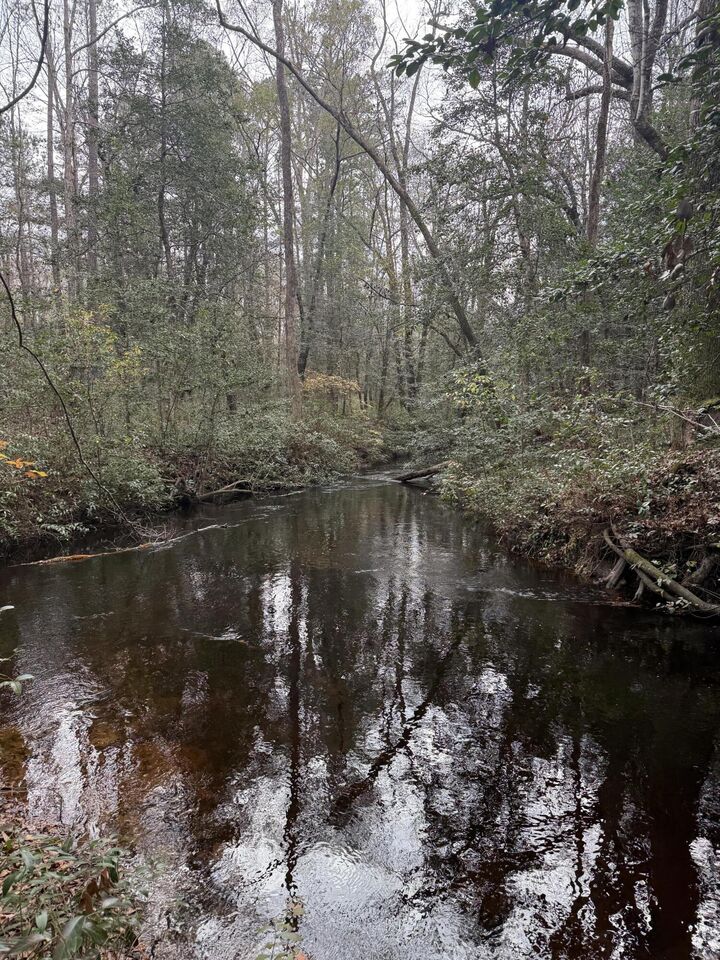 Property Photo:  675 Vaughns Mill Pond Road  SC 29020 