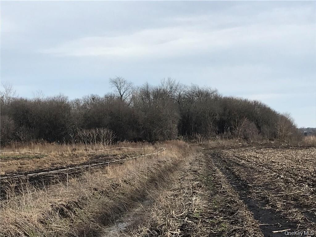 Property Photo:  46 Jessup Switch Road  NY 10924 