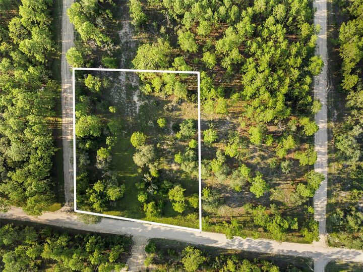 Property Photo:  NE 00 Street  FL 32696 