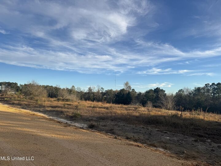 Property Photo:  12 Acres Parker Road  MS 39561 