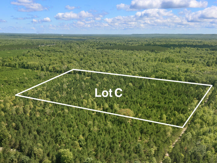 Property Photo:  Wallin Road  MI 49683 