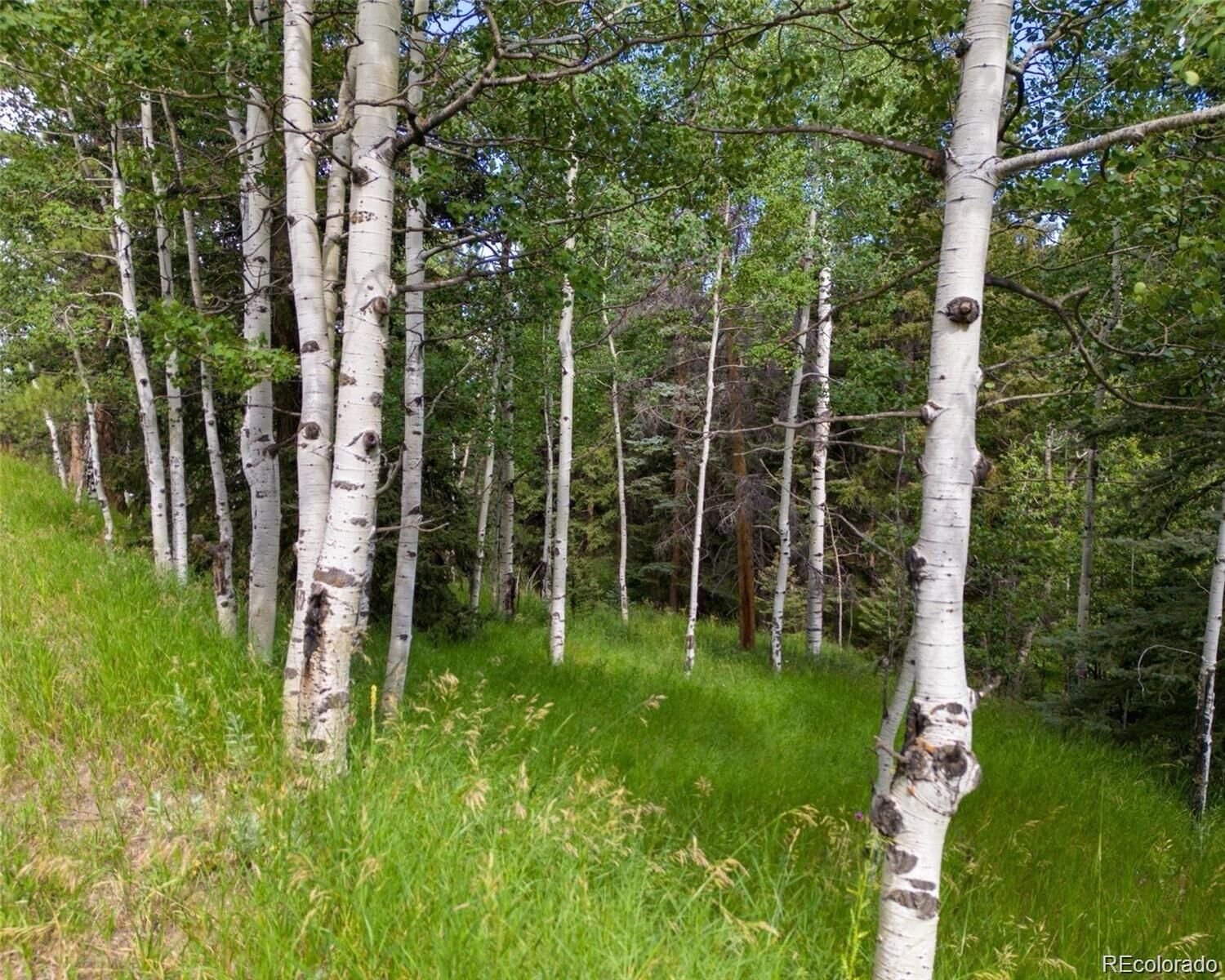 Property Photo:  28380 Pine Trail  CO 80433 