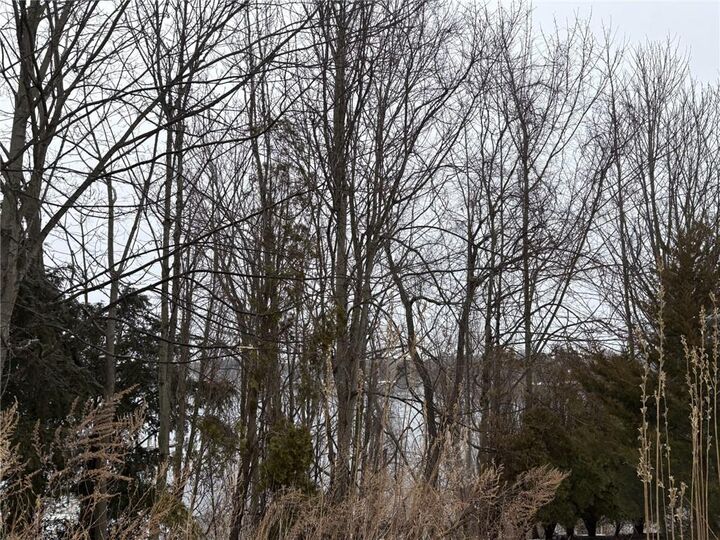 Property Photo:  351 County Road  RI 02806 