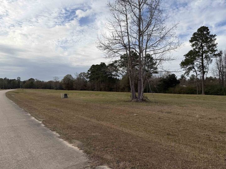 Property Photo:  Lot #2 Northbrook Dr  TX 77662 
