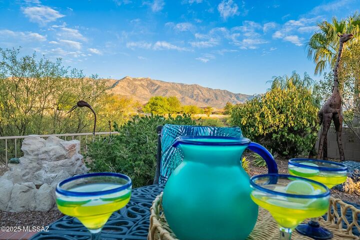 Property Photo:  37547 S Canyon Side Drive  AZ 85739 