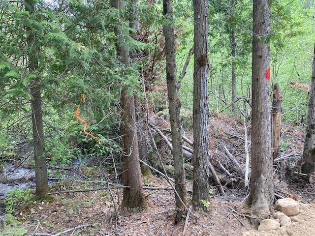 Lot 28 Concession 11 N/A — photo 1
