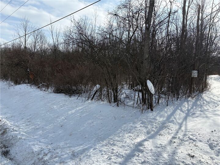 Property Photo:  0 Townsend Road  NY 14891 