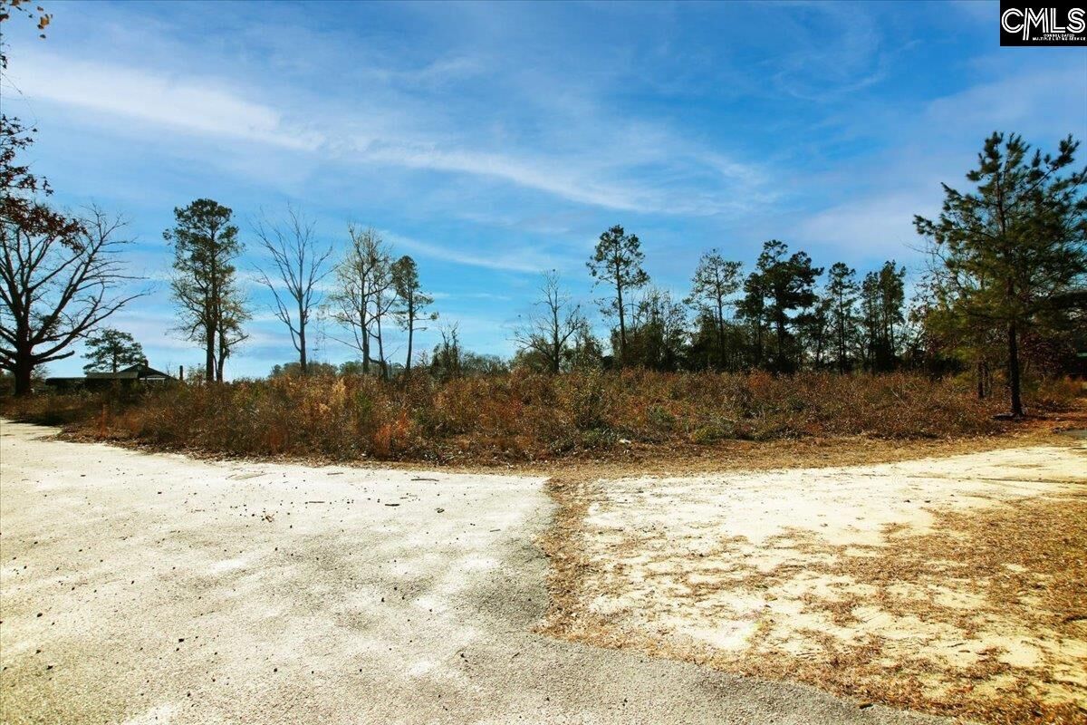 Property Photo:  1107 Kelly  SC 29045 