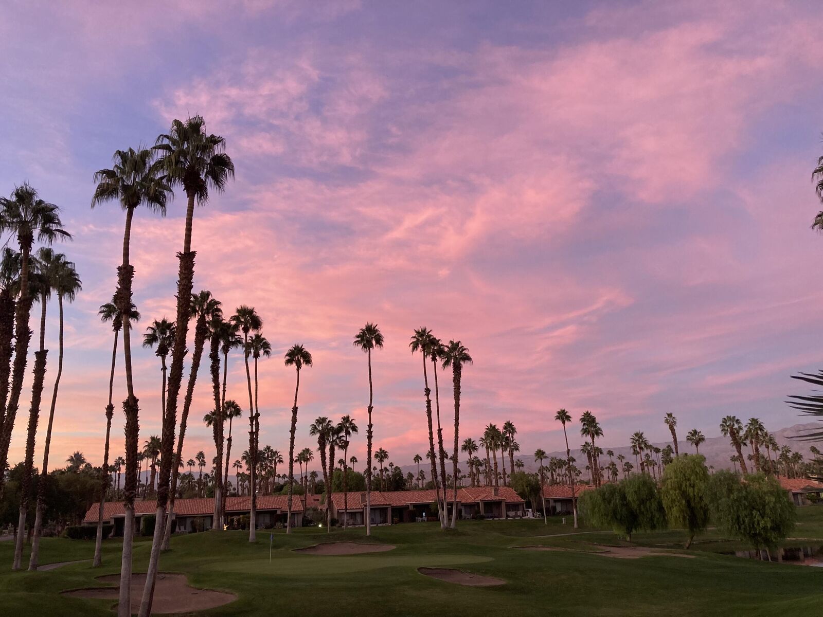 Property Photo:  38612 Wisteria Drive  CA 92211 