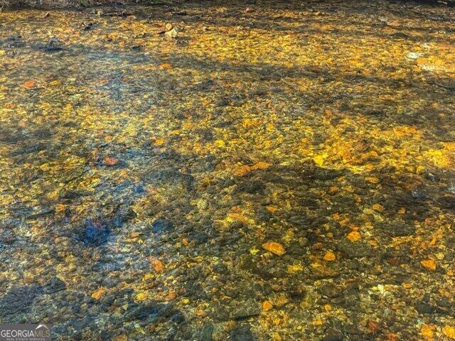 Property Photo:  188 Clear Creek Valley Drive  GA 30536 