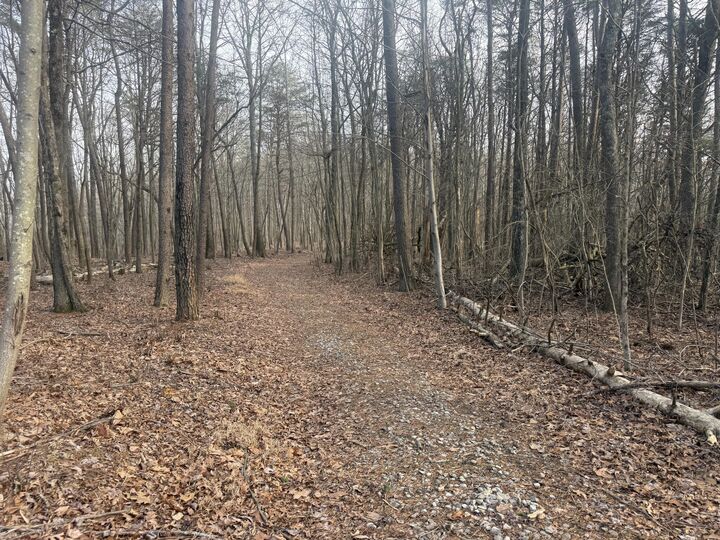 Property Photo:  0 Shivas Crest  GA 30738 