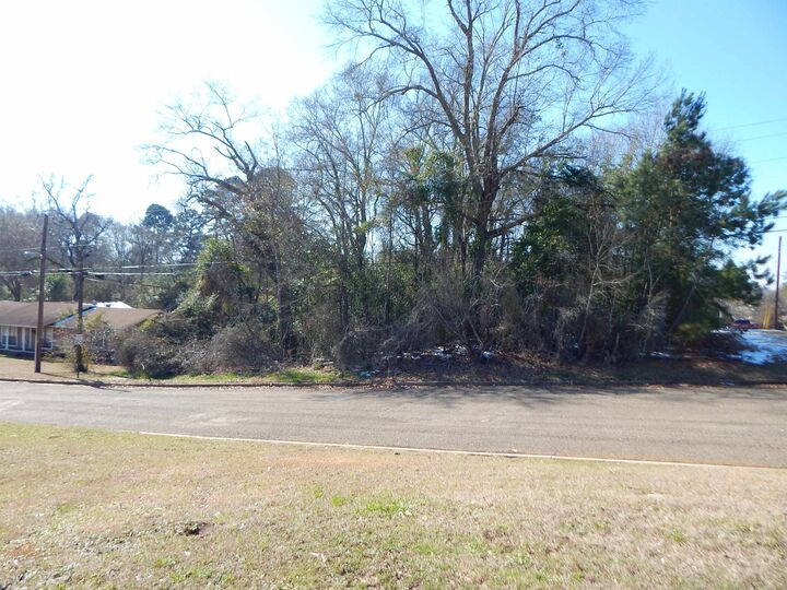 Property Photo:  Tbd Lot 3 Skyview Dr.  TX 75644 