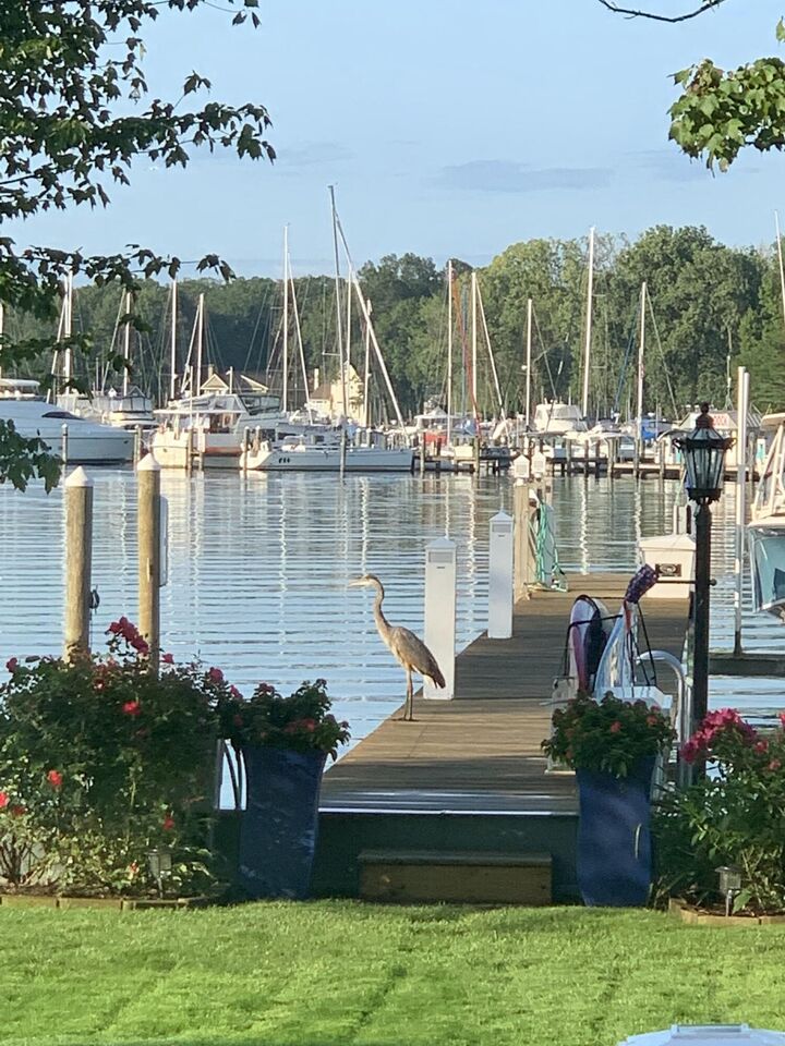 Property Photo:  1738 Waukazoo Drive  MI 49424 