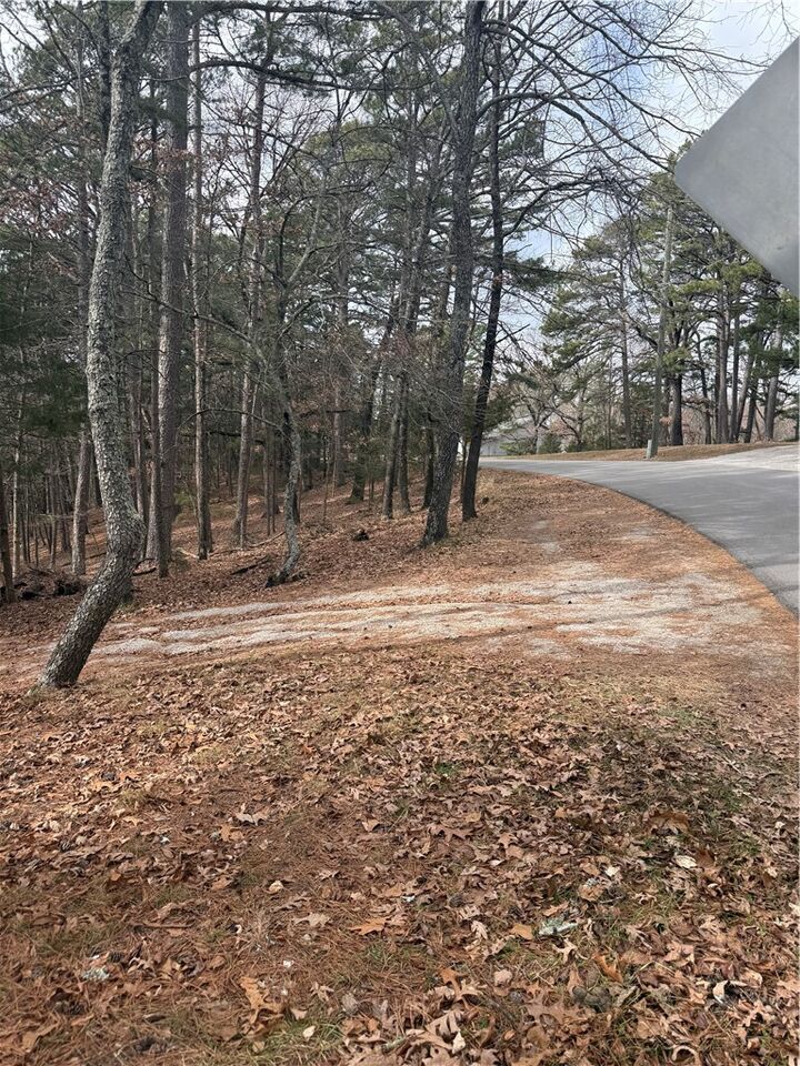 Property Photo:  E Mountain Drive  AR 72632 