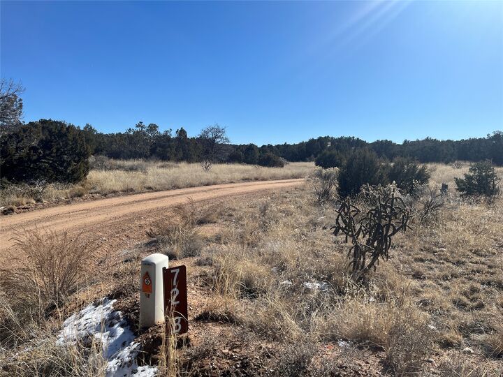 Property Photo: 78 Calle Josephina NM 87506