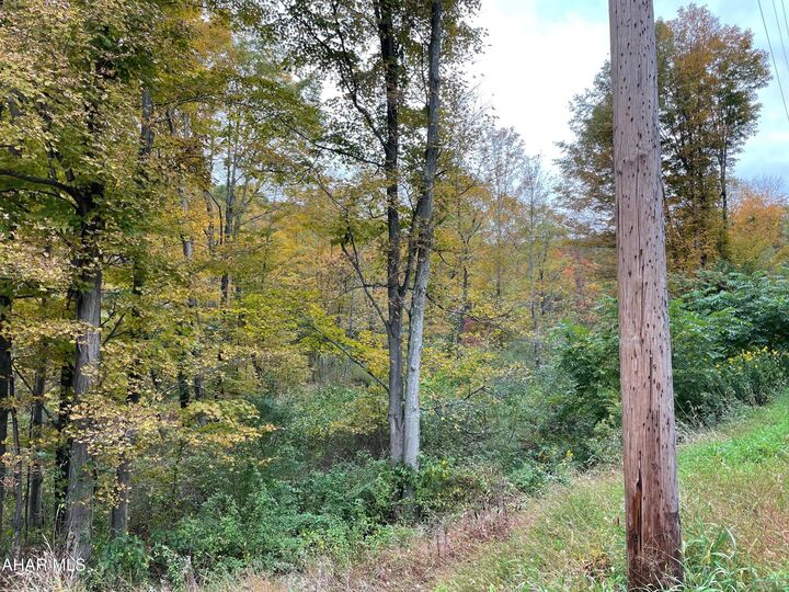 Property Photo:  2491 Baughman Cemetary Road  PA 16686 