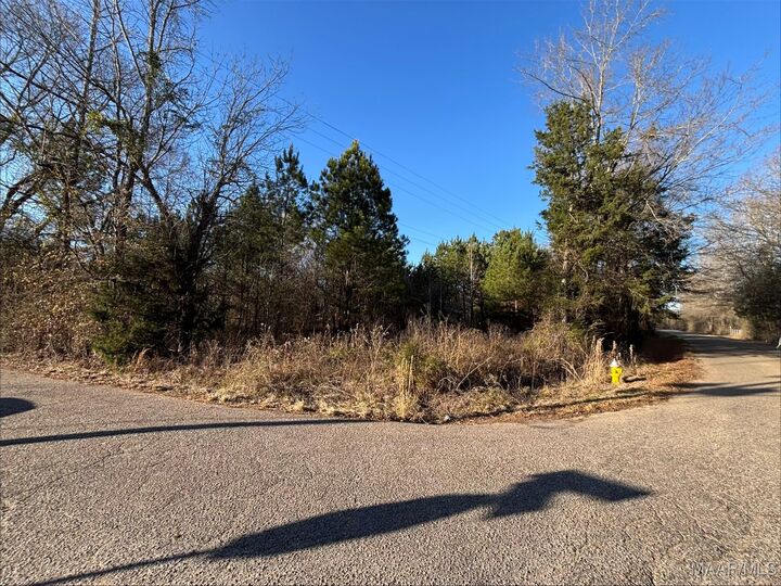 Property Photo:  0 Old Hayneville Road  AL 36108 