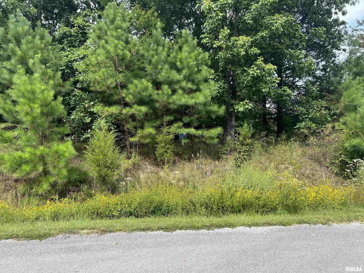 Property Photo:  Lot 306 Pecan Point Lane  IL 62939 