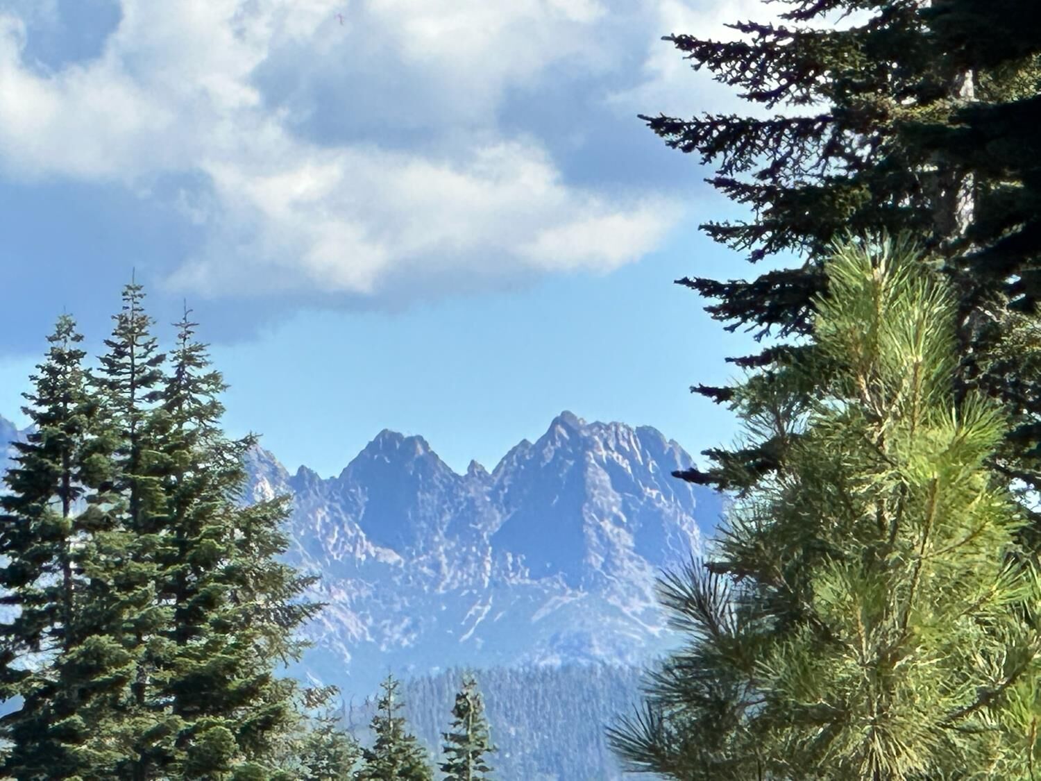 Property Photo:  19611 Marsh Mill Road  CA 95959 